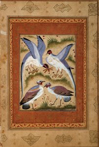 Kuşlar. Moghole okulundan minyatür guaş. 1590-1600. Paris, Guimet Müzesi, Ulusal Asya Sanatları Müzesi