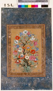 efsanevi bitki by Mughal School