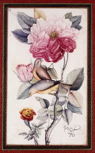 Gül-o Bülbül, c. 1849-50 (kağıt üzerine sulu boya) by Muhammad Baqir