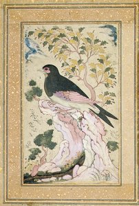 Kayaya tüneyen kuş, 1684