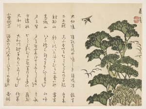 Büyük ağaç ve kuşlar, c.1830-44 (renkli tahta baskı) by Murata Kagen
