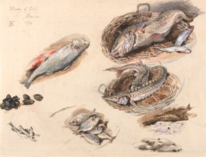 Balık Çalışması, Venedik by Myles Birket Foster