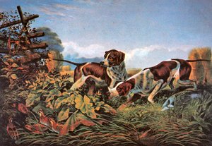 Amerikan Saha Sporları: Bir Noktada by Currier and Ives
