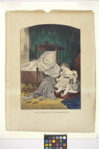 Ev Hazineleri (elle renklendirilmiş litografi)