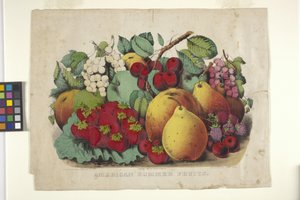 Amerikan Yaz Meyvesi (elle renklendirilmiş litografi)