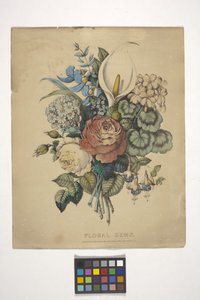 Floral Gems (elle renklendirilmiş litografi)