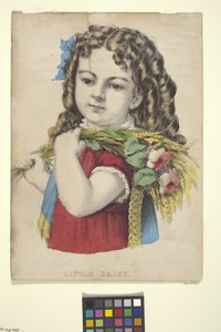 Little Daisy (elle boyanmış taşbaskı)