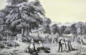 Currier & Ives İllüstrasyon 19. Yüzyıl. Hasat by N. and Ives, J.M. Currier