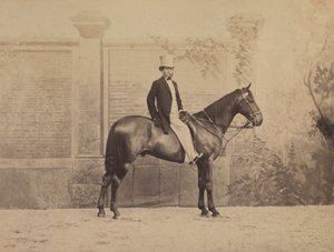 at üstünde adam by Nadar