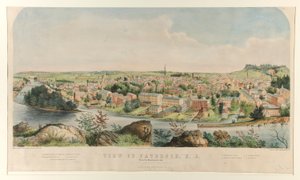 Paterson, N.J.
