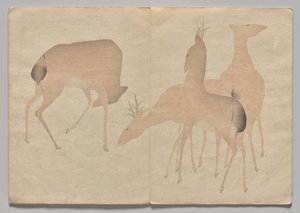 Kōrin Resimli Kitaptan Sahne (Cilt 1) by Nakamura Hochu
