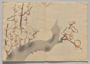 Kōrin Resimli Kitaptan Sahne (Cilt 2) by Nakamura Hochu