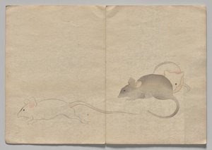 Kōrin Resimli Kitaptan Sahne (Cilt 2) by Nakamura Hochu