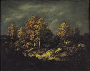 Fontainebleau Ormanı