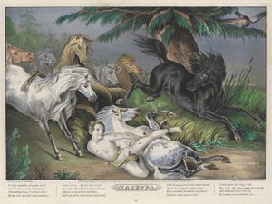 Mazeppa: Dört (4) Plakadan oluşan 3. Plaka (Çevresi Yabani Atlarla çevrili) by Nathaniel Currier