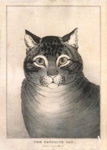 Favori Kedi, 1838-46., 1838-46.
