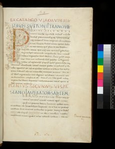Bayan 394.1. Yaşlı Pliny, Historia naturalis, f.1r. Beyaz asma sapı bezemeli ışıklı ilk [P] (bitmemiş), Napoli, 15. yüzyıl ortası, c.1442 (parşömen) by Neapolitan School