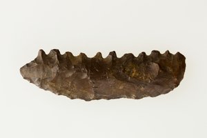 Bifasiyal orak, yaklaşık MÖ 4500–4000 (çakmaktaşı)