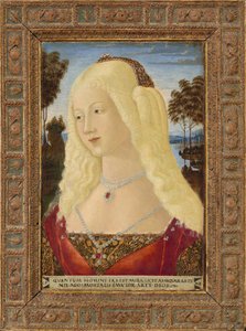 Bir Bayan Portresi by Neroccio de