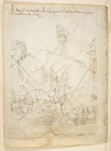 Pamuk Julius E. IV, art. 6, 
