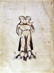Sloane 3983 f.8v İkizler çizimi, Jafar ibn Muhammed (parşömen) tarafından yazılmış bir Farsça astrolojik incelemenin tercümesinden by Netherlandish School