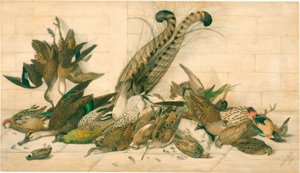 isimsiz (Avustralya gamebirds) by Neville Henry Cayley