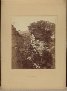  by New South Wales Government Printing Office