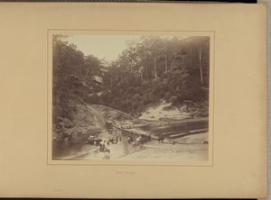  by New South Wales Government Printing Office
