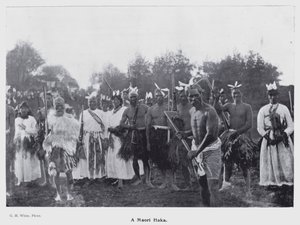 New Plymouth, Yeni Zelanda: Bir Maori Haka (s/b fotoğraf)