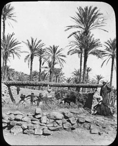 Su çarkı, Mısır, c1890