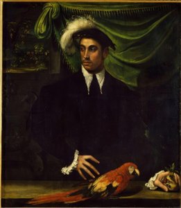 Papağanlı genç bir adamın portresi by Niccolò dell Abbate
