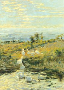 Sabah ördekler, yaklaşık 1892, Niccolo Cannicci (1846-1906). Tuval üzerine yağlı boya, 57,5x40,5 cm.