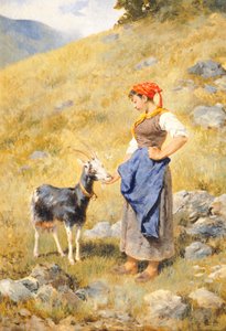 Çoban, Niccolo Cannicci (1846-1906)