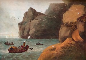 "Puffin Vuruşu", c1806 by Nichols and Merke