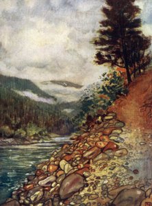 Norveç: Gjora Nehri (renkli taş) by Nico Jungman