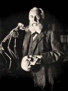 Ernst Haeckel