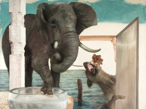  by Nicola Pucci
