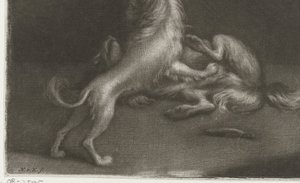 iki oynayan köpek by Nicolaas Verkolje