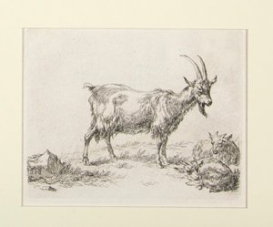 6 gravür by Nicolaes Berchem