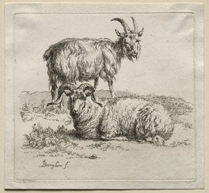 Animalia: Koç ve Keçi