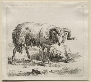Animalia: Koç ve Koyun by Nicolaes Berchem