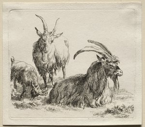 Animalia: Üç Keçi by Nicolaes Berchem