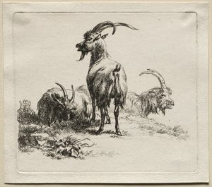Animalia: Üç Keçi by Nicolaes Berchem