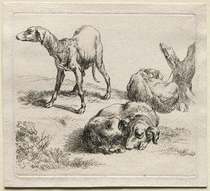 Animalia: Üç Av Köpeği