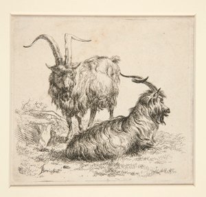 Keçiler (dan by Nicolaes Berchem