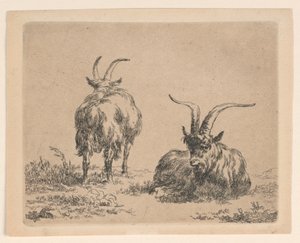 iki keçi by Nicolaes Berchem