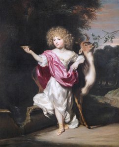 ""Geyikli Kız Portresi" (Geyikli Kız Portresi) Tablo Nicolaes Maes (1634-1693), - Tuval üzerine yağlıboya Dim 58x49 cm Fondation Custodia by Nicolaes Maes