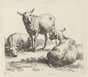 kuru schapen Schapen (dizi adı) Studio ve Arte Nicolai Berchemi tarafından basılan, su ve kudretli gökyüzü ile betimlenen canlılar için hayvanlar (seri başlığı) by Nicolaes Pietersz Berchem