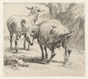 Her gün akşam yemeği Schapen (dizi adı) Studio ve Arte Nicolai Berchemi tarafından basılan, su ve kudretli gökyüzü ile betimlenen canlılar için hayvanlar (seri başlığı) by Nicolaes Pietersz Berchem