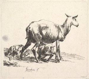 Kuzu Beslemeli Koyun. by Nicolaes Pietersz. Berchem
